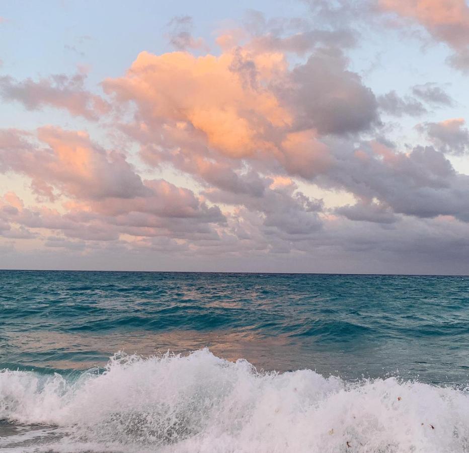 Palm Beach Island Condominiums מראה חיצוני תמונה